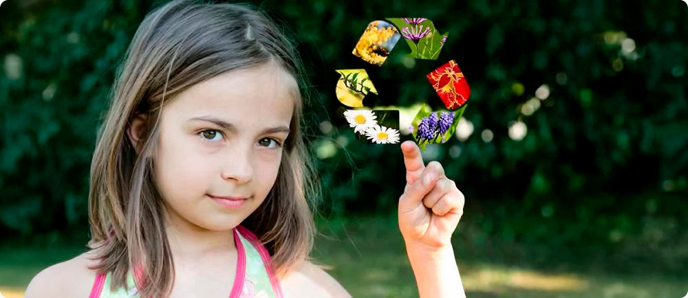 Img Sustainability Hero
