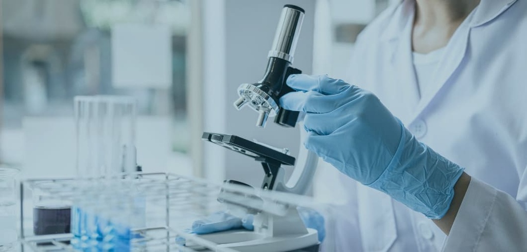 Img Aprende las partes de un microscopio óptico