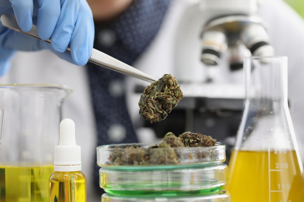 Img Métodos de purificación de cannabis