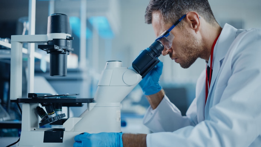 Img Microscopio invertido y sus distintas aplicaciones en laboratorios