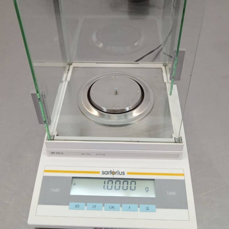 sartorius-bp-110-s.jpg