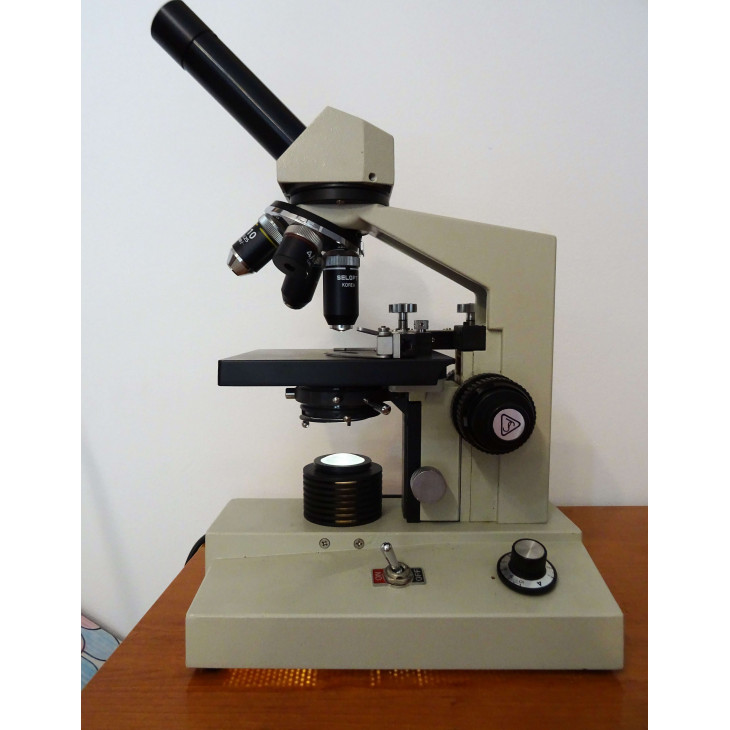 selop-xuga-1989.jpg