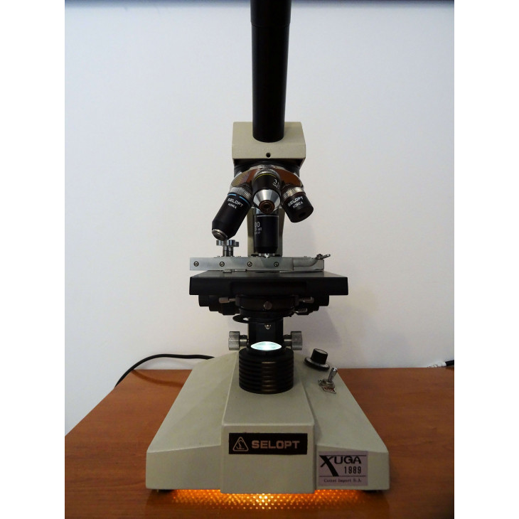 selop-xuga-1989.jpg