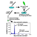 cyflow-ploidy-analyser.jpg