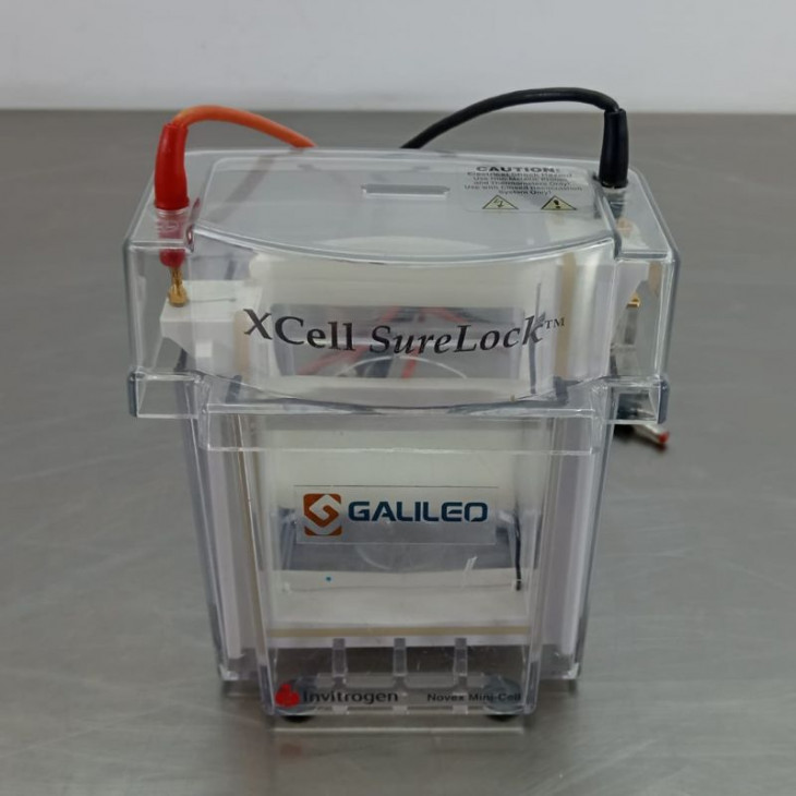 invitrogen-xcell-surelock-mini-cell.jpg