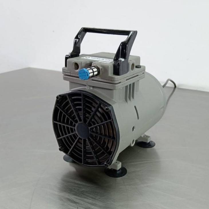thomas-617cd22.jpg