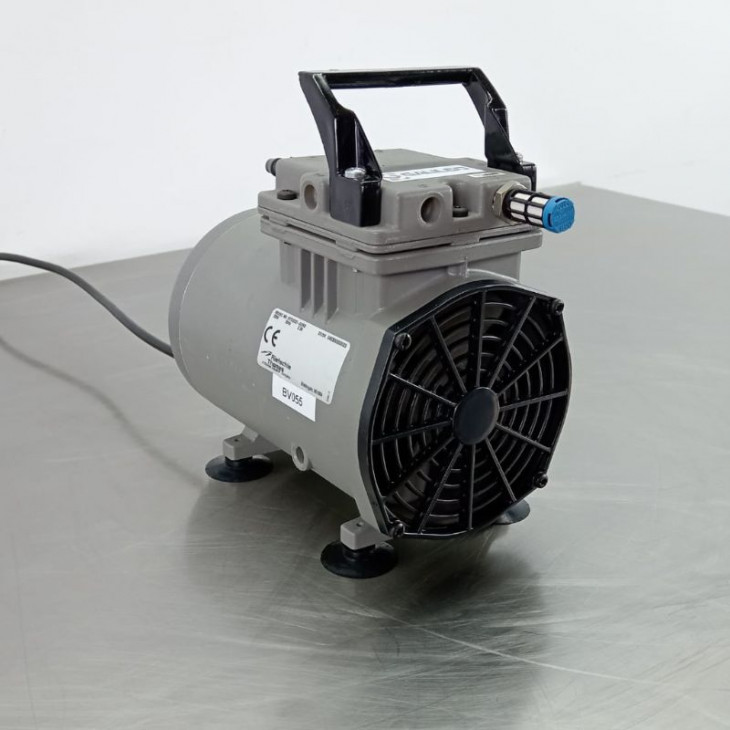 thomas-617cd22.jpg
