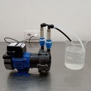totton-nemp-2012.jpg
