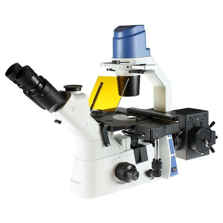 Oxion OX.2453-PLF