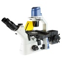 Oxion OX.2453-PLF