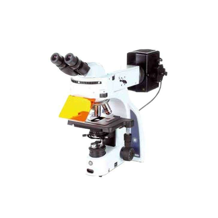 iScope IS.3153-PLFi/6