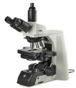 Delphi-X Observer DX.1153-PLPhi
