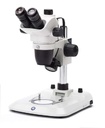 Nexius Zoom (EVO) NZ.1703-P