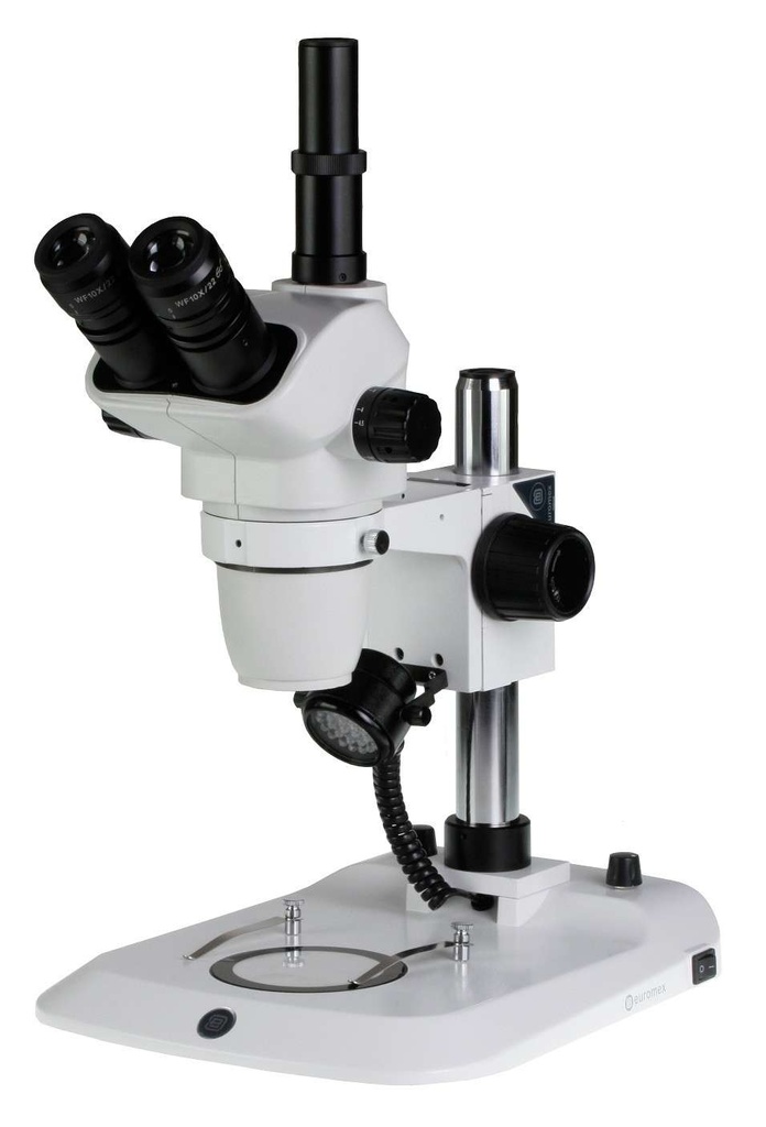 Nexius Zoom NZ.1903-P