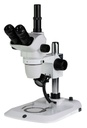 Nexius Zoom NZ.1903-P