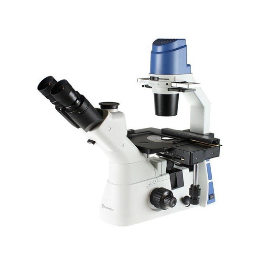 Oxion Inverso OX.2053-PLPH